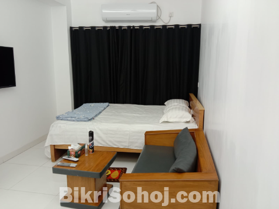 Fully Furnished Studio Apartments For Rent